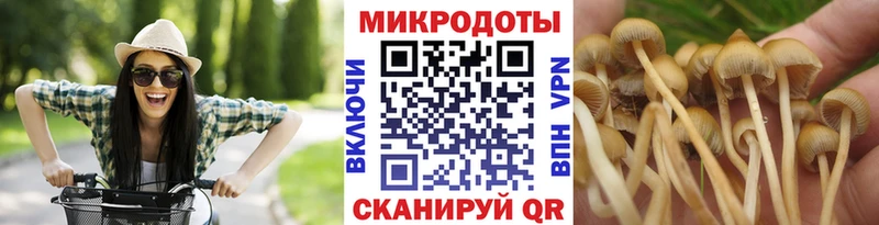Галлюциногенные грибы мицелий  гидра зеркало  Донской 