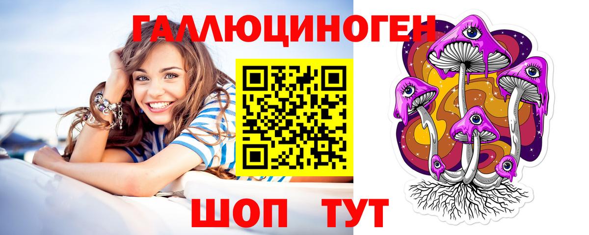Псилоцибиновые грибы Psilocybine cubensis Донской
